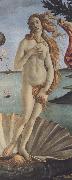 Sandro Botticelli The Birth of Venus (mk36) china oil painting reproduction